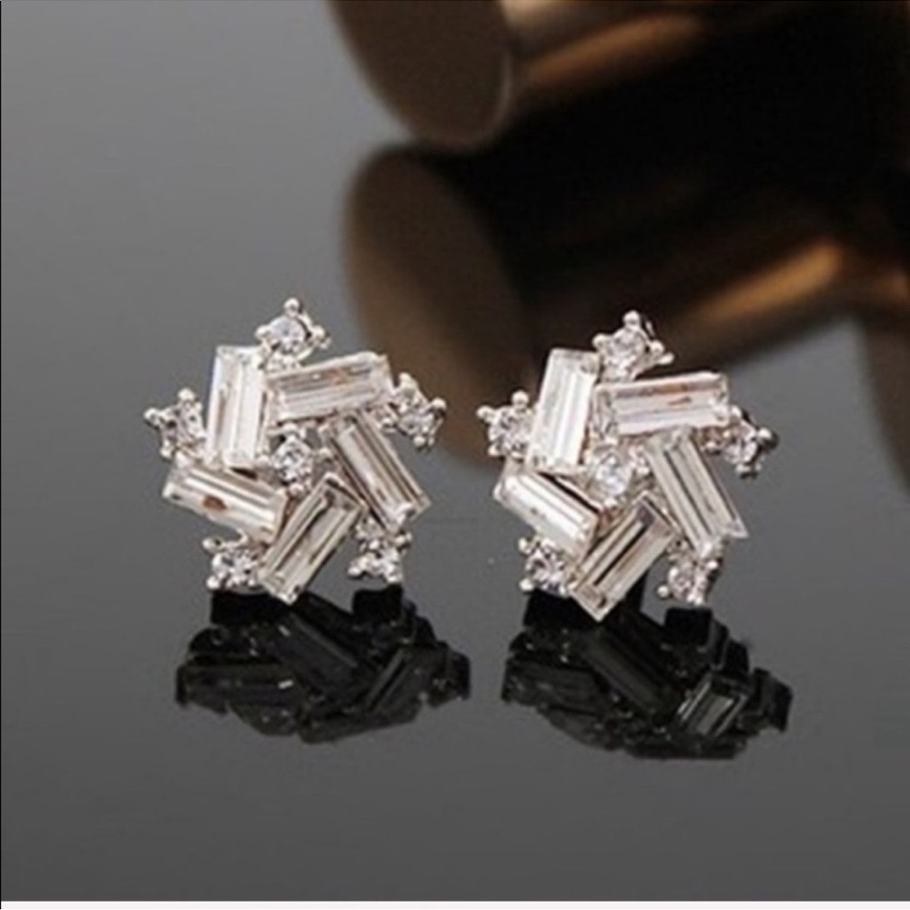 Chic Silver Geometric Earrings